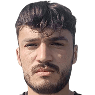 Gabriel Fulga